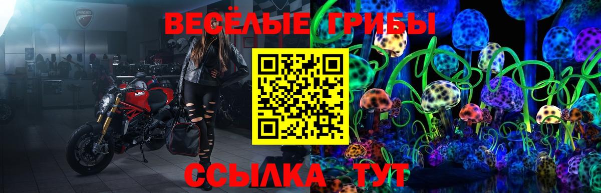Миасс  Псилоцибиновые грибы мухоморы  Вход с VPN  Псилоцибиновые грибы Magic Shrooms 